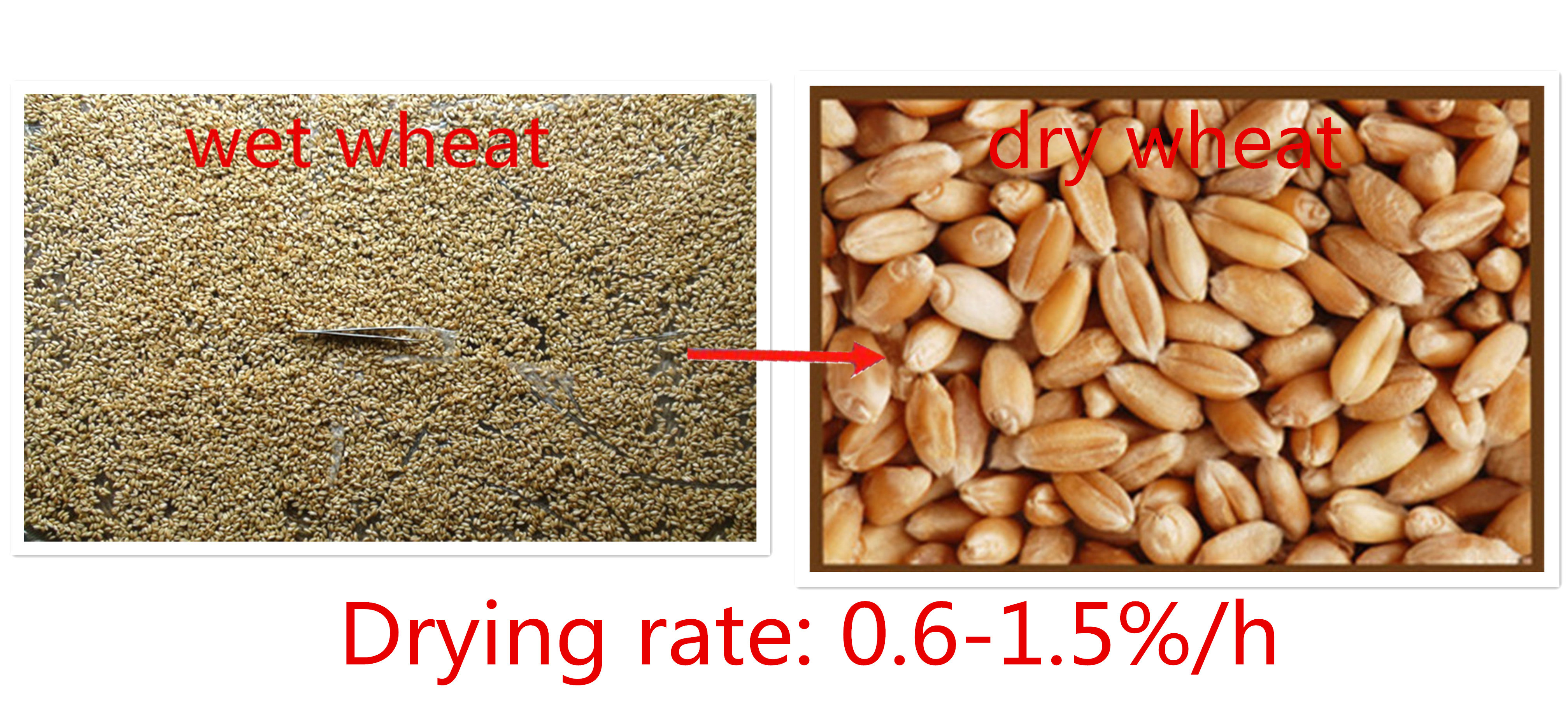 malt2[1]_副本.jpg